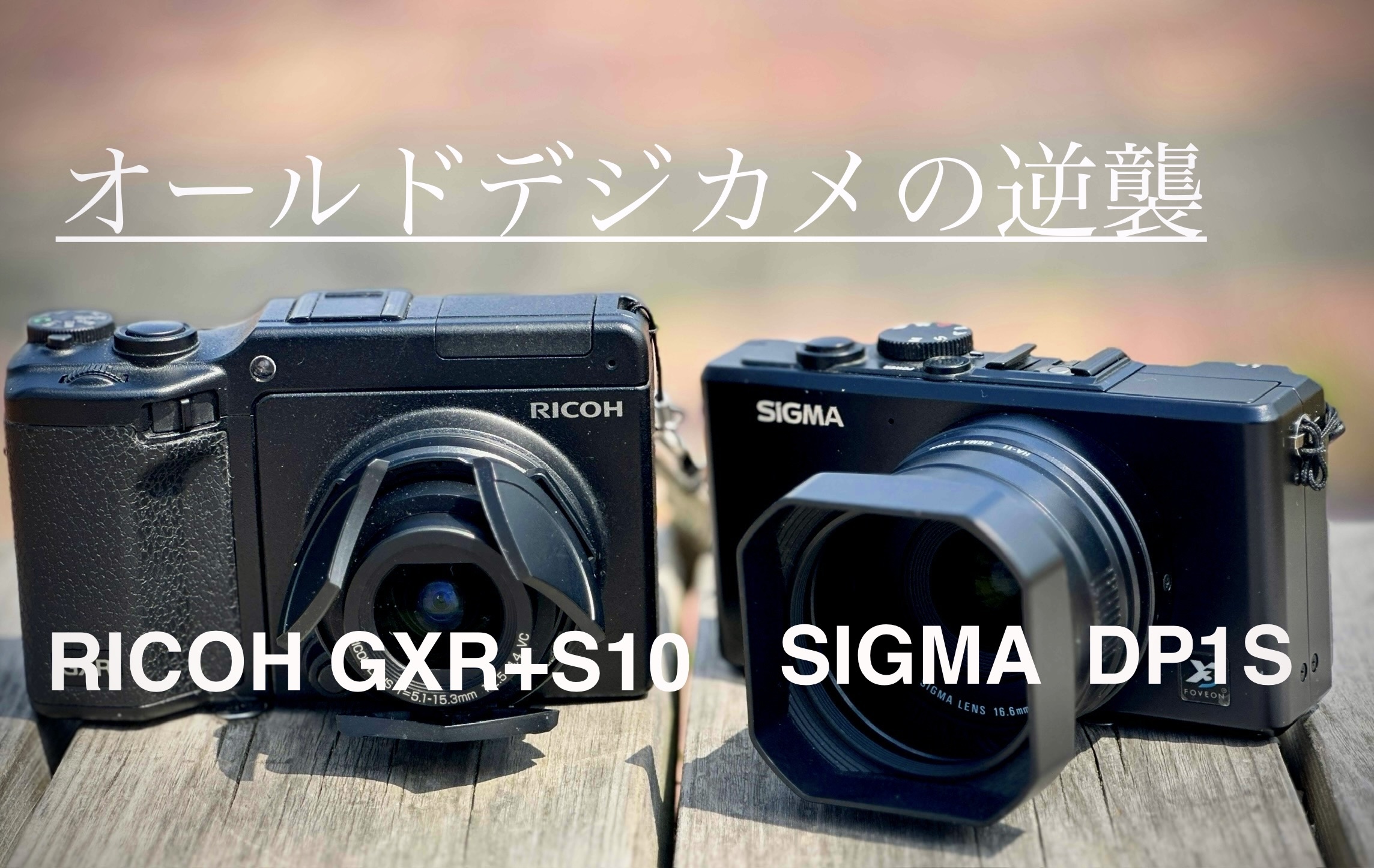 デジカメ じゃんぱら店員によるコラムです。 オールドデジカメの